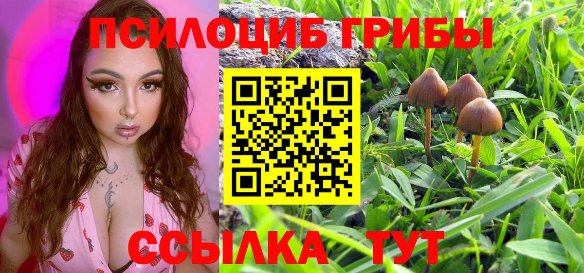 Галлюциногенные грибы Psilocybe  Вход с VPN  Ирбит  Галлюциногенные грибы Psilocybine cubensis 